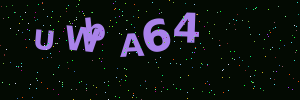 Validation image