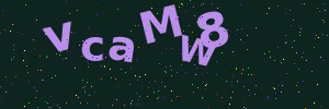 Validation image