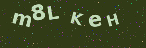 Validation image