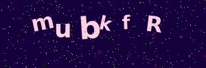 Validation image
