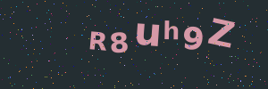 Validation image