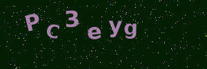 Validation image