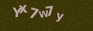 Validation image