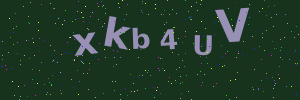 Validation image