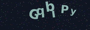 Validation image