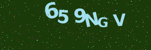 Validation image